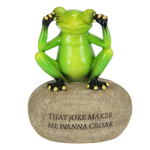 Frog on Garden Rock with Joke