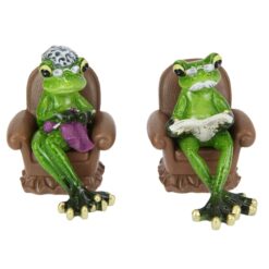 Elderly Frog on Sofa