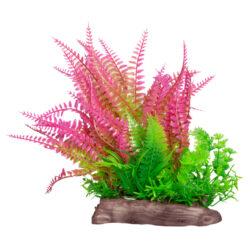 Wide Liquorice Fern Pink/Hottonia Green - Ecoscape