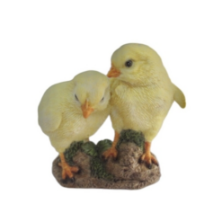 Duo of Chicks