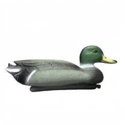 Floating Duck Male