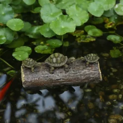 Floating Log w/Turtles