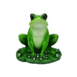 Frog on Lilypad
