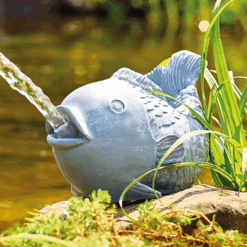Oase Fish Water Spitter