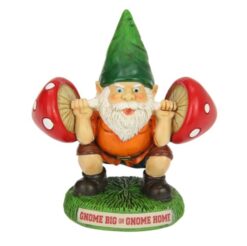 Weightlifting Gnome
