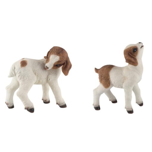 Cute Standing Goat