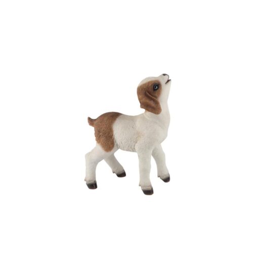 Cute Standing Goat