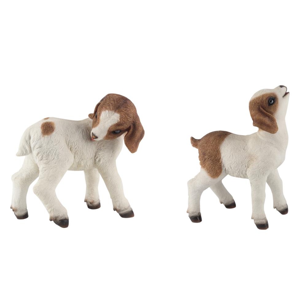 Cute Standing Goat