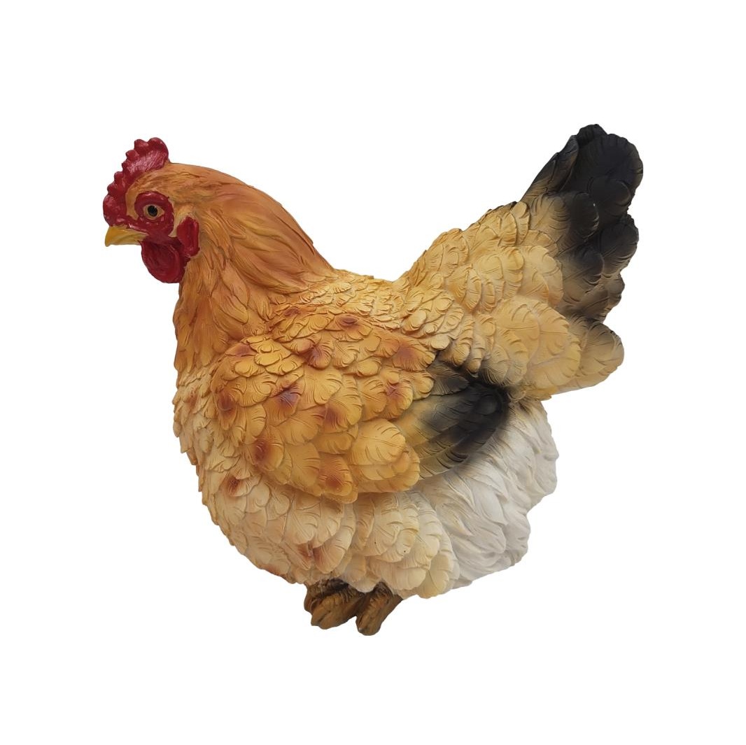 Sitting Brown Chicken