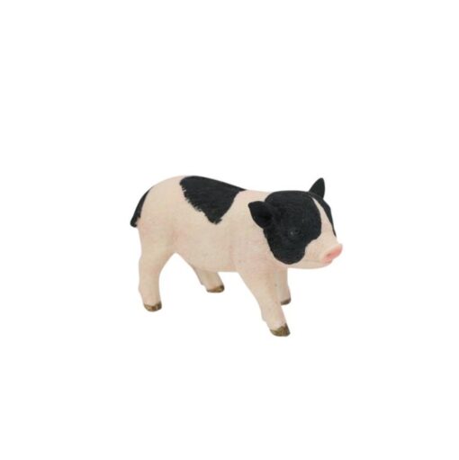 Cute Pigs