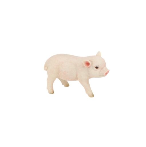 Cute Pigs