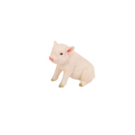 Cute Pigs