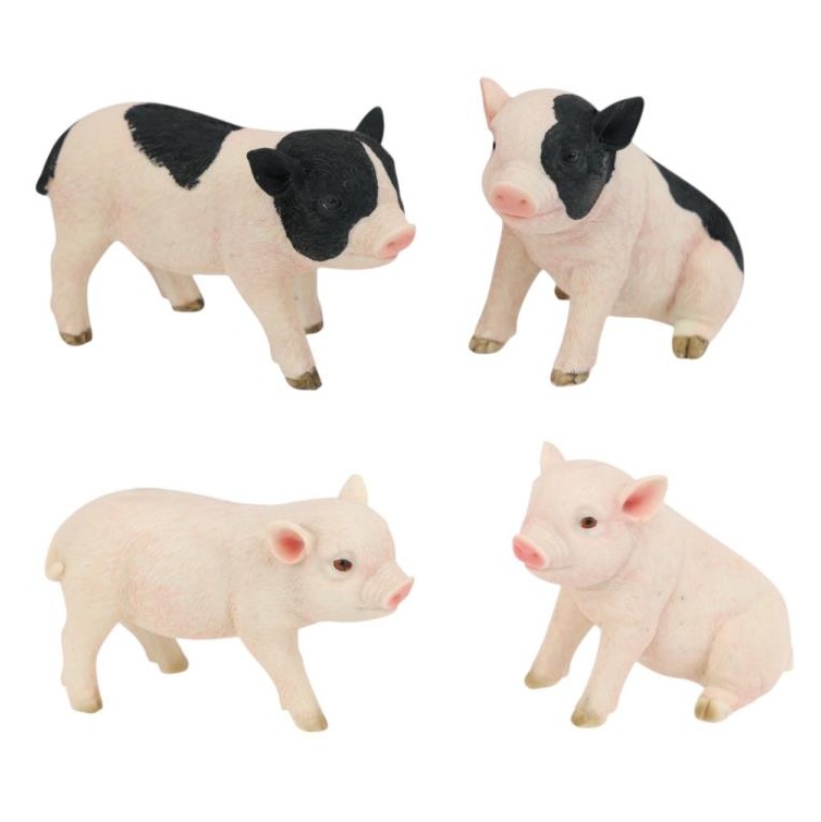 Cute Pigs