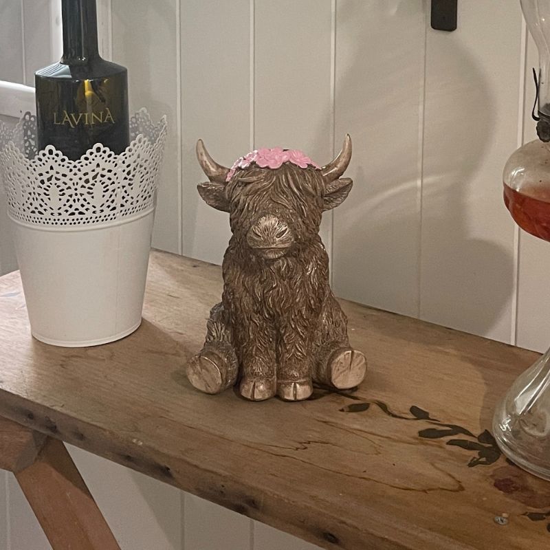 Highland Cow Sitting
