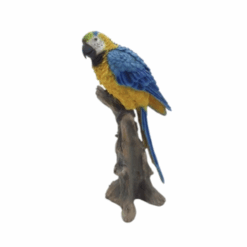 Parrot on Branch