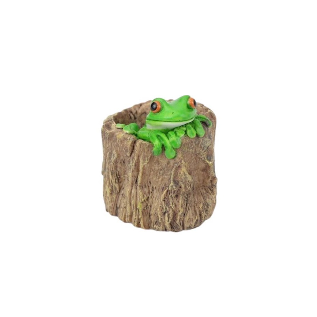 Green Tree Frog in Hollow Log
