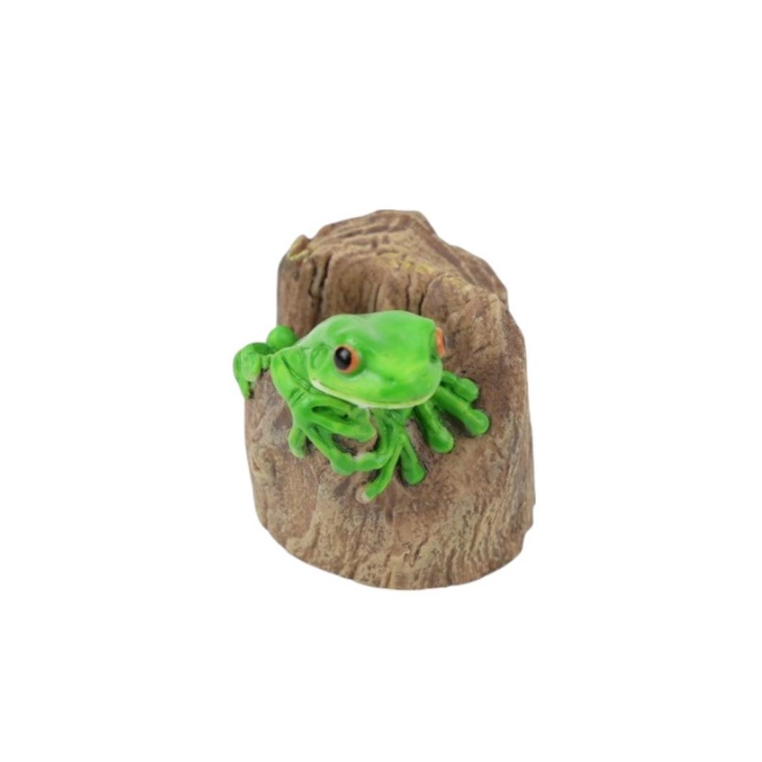 Green Tree Frog in Hollow Log