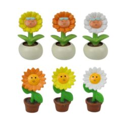 Mini Sunflower in Pot