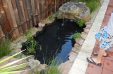 Customer Pond