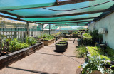 PLANT NURSERY